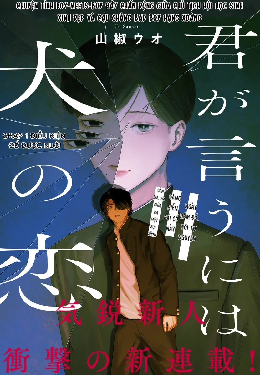 Cậu bảo rằng đây là cách loài chó yêu